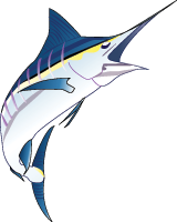 Marlin Illustration